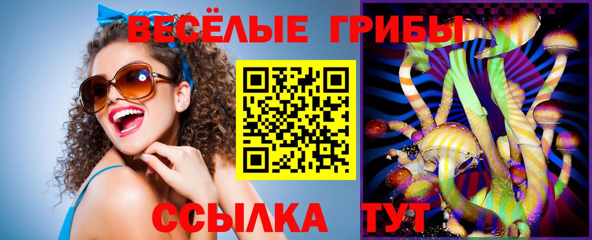 Галлюциногенные грибы Psilocybine cubensis Бахчисарай
