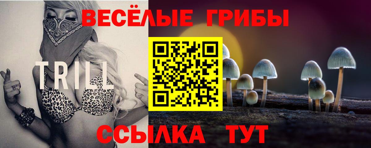 Бахчисарай  Псилоцибиновые грибы ЛСД  Вход с VPN  Псилоцибиновые грибы GOLDEN TEACHER 